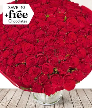 100 Red Roses