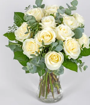 12 White Roses