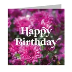 Birthday Card