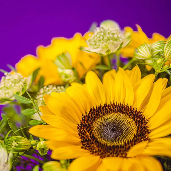 Sunflower bouquet